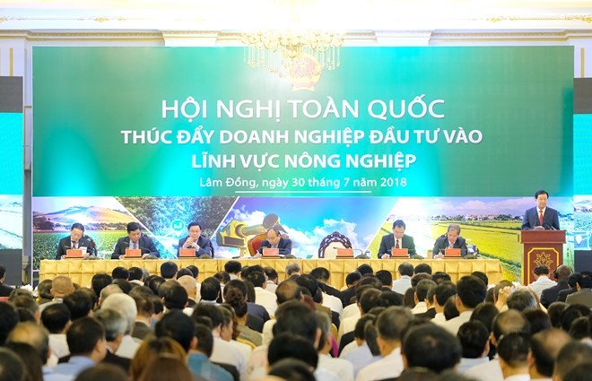 At the conference (Source: baochinhphu.vn)