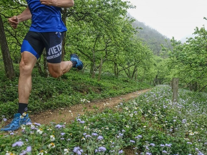 Vietnam Trail Marathon in Moc Chau to draw 1,900 runners