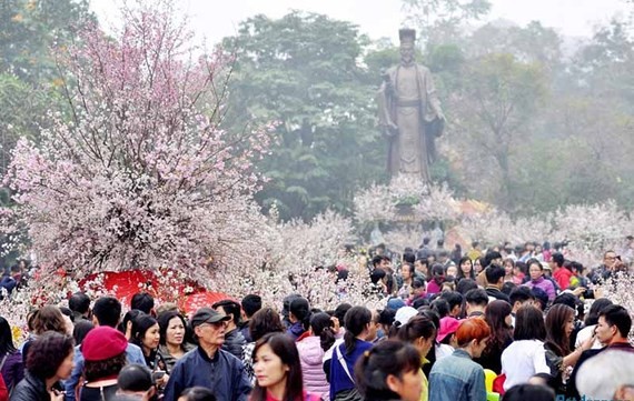 Annual Cherry Blossom Festival to return to Hanoi in March