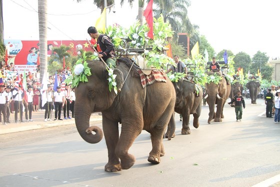 Elephants in street festival