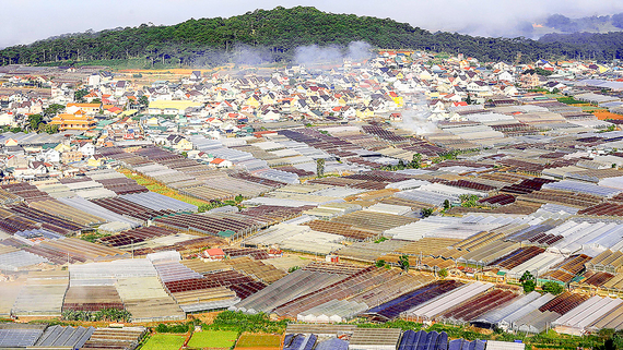 Greenhouses and net houses in Da Lat city