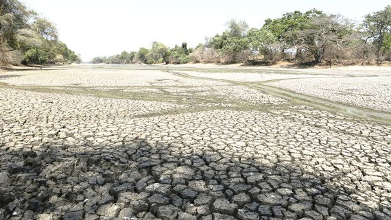 Drought occurs everywhere in the country because of climate change. (Photo: Sggp)