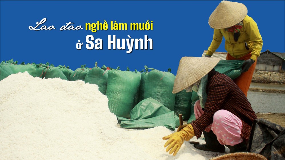 Sa Huynh salt farmers endure falling prices