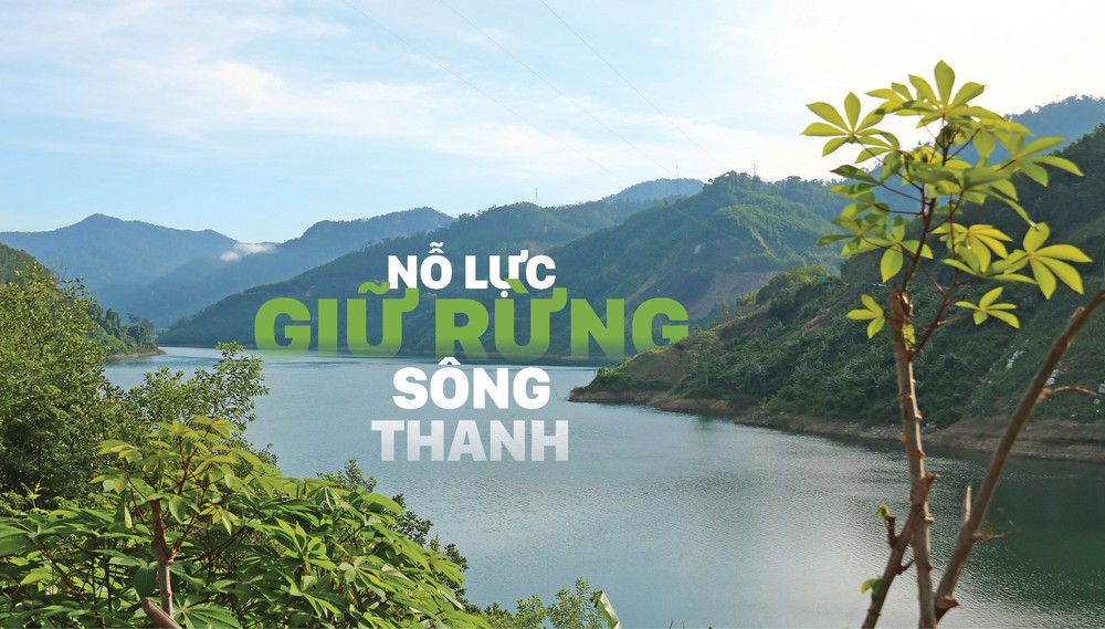 Quang Nam Province plans to turn Song Thanh Nature Reserve into national park