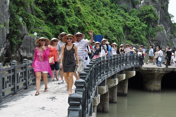 International visitors to Vietnam fall sharply.