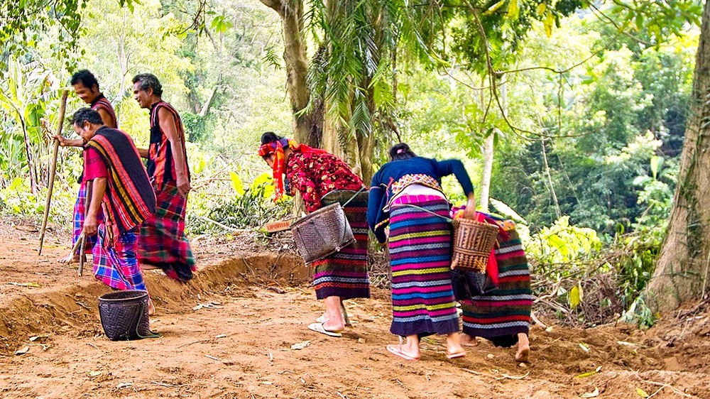 Quang Binh gets new national intangible cultural heritages