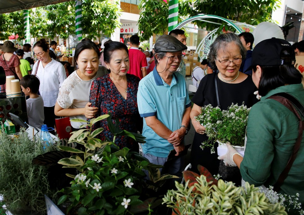 居民响应种植盆栽以绿化环境。