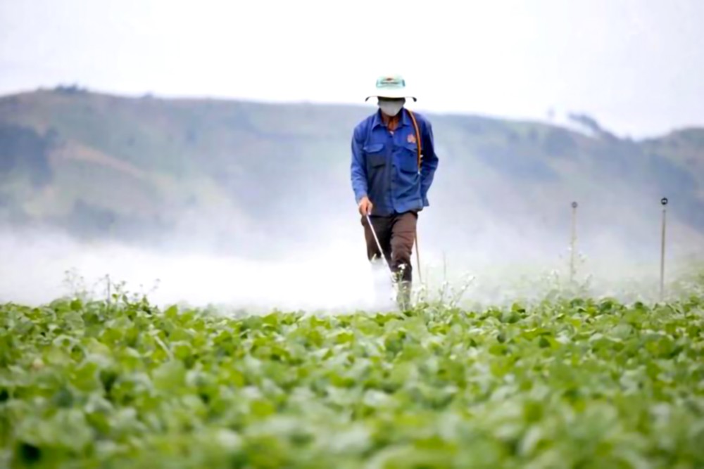 逾八成农药厂转为生产生物农药