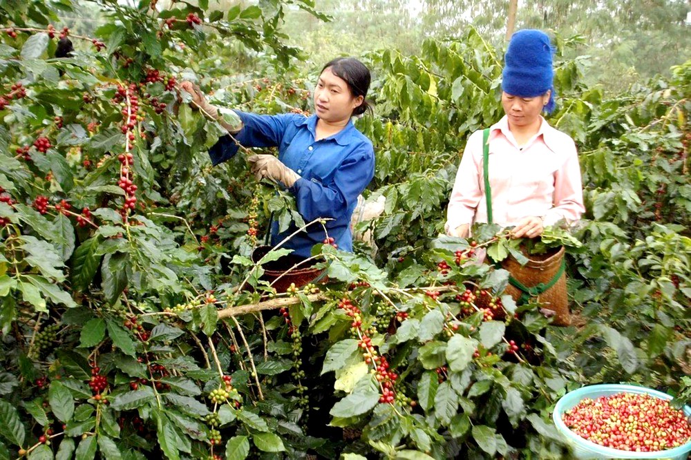 为少数民族妇女共同发声促进平等