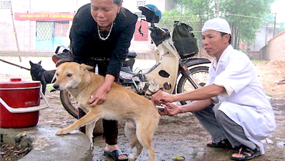 卫生部劝告防范狂犬病措施