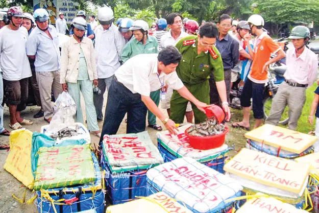 Tăng cường kiểm tra an toàn vệ sinh thực phẩm. Tăng cường kiểm tra an toàn vệ sinh thực phẩm.