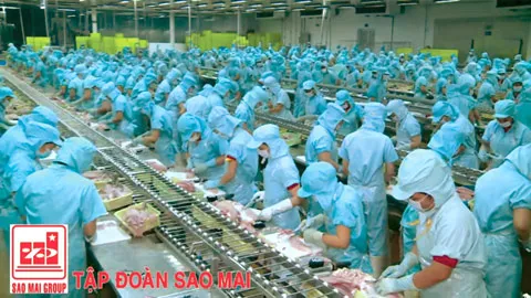 Quy trình chế biến cá tra xuất khẩu của CTCP Đầu tư và Phát triển đa quốc gia (IDI).