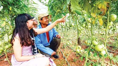 Đầu tư NNCNC là xu hướng của nhiều DN hiện nay. Đầu tư NNCNC là xu hướng của nhiều DN hiện nay.