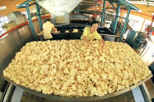 Chế biến cao su xuất khẩu. ẢNh: LONG THANH Chế biến cao su xuất khẩu. ẢNh: LONG THANH