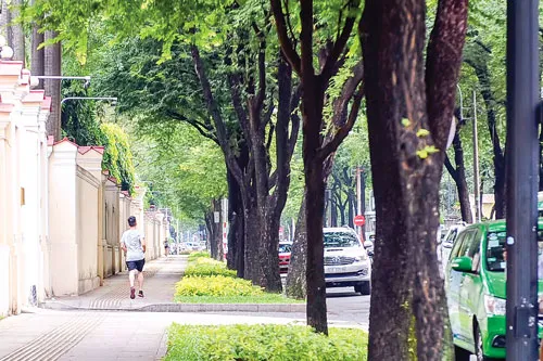 Vẫn còn nhiều người chạy xe trên vỉa hè đường Nguyễn Thị Minh Khai, quận 1. Lực lượng chức năng quận 8 ra quân làm sạch vỉa hè. Vỉa hè đường Tôn Thất Đạm, quận 1 thông thoáng hơn. Người dân trên đường Chu Mạnh Trinh, phường Bến Nghé, quận 1 tự tháo gỡ trả lại vỉa hè. Người dân tập thể dục trong không gian thoáng đãng trên vỉa hè đường Nguyễn Du. Người dân đồng thuận với chủ trương đòi lại vỉa hè của chính quyền TP. Vẫn còn nhiều người chạy xe trên vỉa hè đường Nguyễn Thị Minh Khai, quận 1. Lực lượng chức năng quận 8 ra quân làm sạch vỉa hè. Vỉa hè đường Tôn Thất Đạm, quận 1 thông thoáng hơn. Người dân trên đường Chu Mạnh Trinh, phường Bến Nghé, quận 1 tự tháo gỡ trả lại vỉa hè. Người dân tập thể dục trong không gian thoáng đãng trên vỉa hè đường Nguyễn Du. Người dân đồng thuận với chủ trương đòi lại vỉa hè của chính quyền TP.