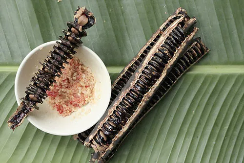 Vị ô môi hòa với vị cay của ớt, mặn của muối rồi lai tạo ra những vị trung gian là chua, chát. Vị ô môi hòa với vị cay của ớt, mặn của muối rồi lai tạo ra những vị trung gian là chua, chát.