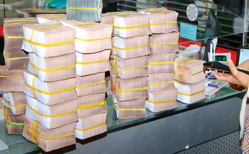 Ảnh: LONG THANH Ảnh: LONG THANH