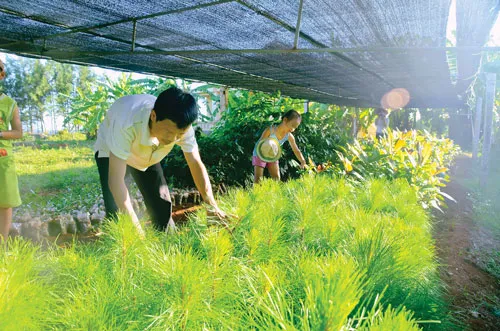 Những công trình dân sinh trên đảo. Tàu chở hàng từ đất liền cập âu thuyền đảo Cồn Cỏ. Vườn ươm cây giống bản địa phục vụ việc tái thiết mảng xanh trên đảo Cồn Cỏ. Thi công nâng cấp âu thuyền trên đảo. Bảo dưỡng tấm pin mặt trời lắp cho đèn hải đăng trên đảo Cồn Cỏ. Người lính vui đùa với con cua đá, con vật đặc trưng của đảo Cồn Cỏ. Tuần tra trên đảo. Lính đảo chuẩn bị bữa trưa. Bộ đội vận chuyển quà từ đất liền gửi ra cho các hộ dân trên đảo. Những công trình dân sinh trên đảo. Tàu chở hàng từ đất liền cập âu thuyền đảo Cồn Cỏ. Vườn ươm cây giống bản địa phục vụ việc tái thiết mảng xanh trên đảo Cồn Cỏ. Thi công nâng cấp âu thuyền trên đảo. Bảo dưỡng tấm pin mặt trời lắp cho đèn hải đăng trên đảo Cồn Cỏ. Người lính vui đùa với con cua đá, con vật đặc trưng của đảo Cồn Cỏ. Tuần tra trên đảo. Lính đảo chuẩn bị bữa trưa. Bộ đội vận chuyển quà từ đất liền gửi ra cho các hộ dân trên đảo.