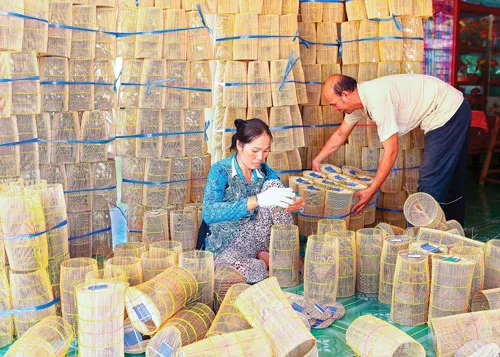 Làng đan lọp Thới Long đã được TP Cần Thơ quy hoạch thành điểm du lịch để vực dậy làng nghề. Đập vành. Ráp hoàn chỉnh lọp. Chẻ nan. Nghề đan lọp giúp người dân Thới Long có cuộc sống ổn định. Chuẩn bị sẵn sàng cho mùa cao điểm nước nổi. Niềm vui người thợ đan lọp bên sản phẩm làm ra. Bện hom. Phơi nan sau khi ngâm nước giữ lọp không bị mọt ăn.