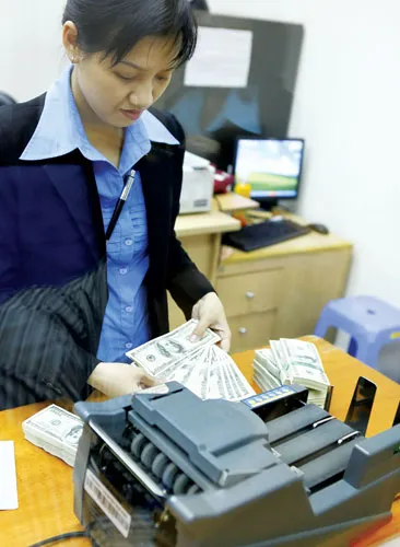 Ảnh minh họa: LÃ ANH