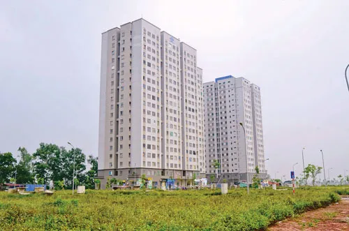 Khu đô thị Kiến Hưng nằm lọt thỏm giữa cánh đồng. Ảnh: HOÀI TRÂM