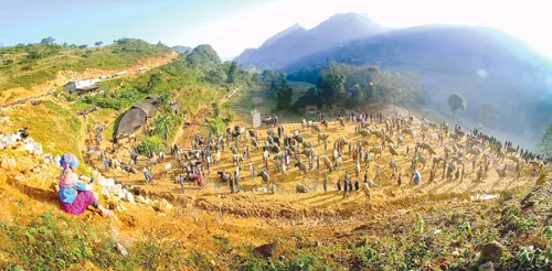 Toàn cảnh khu mua bán trâu phiên chợ Cán Cấu. Du khách chọn mua hàng lưu niệm trước khi rời chợ phiên. Chợ phiên “hàng đổi hàng” Cốc Ly là nơi giao lưu nét văn hóa độc đáo của bà con các dân tộc Lào Cai qua các sản phẩm thổ cẩm. Khu vực bán váy thổ cẩm tại các chợ phiên ở Lào Cai luôn thu hút người tới mua. Du khách nước ngoài rất thích thú sản phẩm thổ cẩm tại chợ phiên Sapa. Rau quả vùng cao do bà con tự trồng được mang đến bán tại chợ phiên Cao Sơn. Tại các chợ phiên của Lào Cai đều không thể thiếu khu vực cắt tóc. Địu con đi chợ. Thưởng thức đặc sản thắng cố tại chợ phiên Bắc Hà. Toàn cảnh khu mua bán trâu phiên chợ Cán Cấu. Du khách chọn mua hàng lưu niệm trước khi rời chợ phiên. Chợ phiên “hàng đổi hàng” Cốc Ly là nơi giao lưu nét văn hóa độc đáo của bà con các dân tộc Lào Cai qua các sản phẩm thổ cẩm. Khu vực bán váy thổ cẩm tại các chợ phiên ở Lào Cai luôn thu hút người tới mua. Du khách nước ngoài rất thích thú sản phẩm thổ cẩm tại chợ phiên Sapa. Rau quả vùng cao do bà con tự trồng được mang đến bán tại chợ phiên Cao Sơn. Tại các chợ phiên của Lào Cai đều không thể thiếu khu vực cắt tóc. Địu con đi chợ. Thưởng thức đặc sản thắng cố tại chợ phiên Bắc Hà.