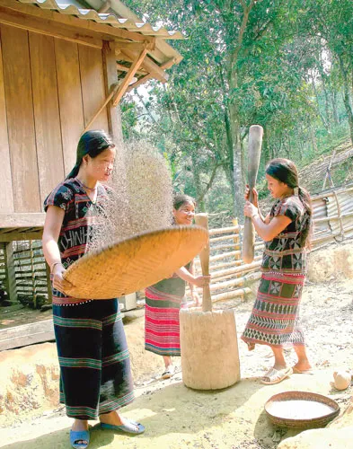 Sức sống mới Trường Sơn ảnh 8 Sức sống mới Trường Sơn ảnh 8