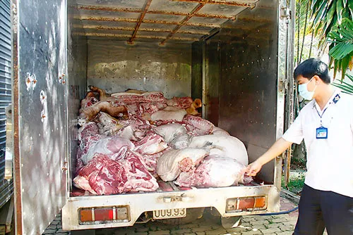 Số thịt heo hôi thối đang được cơ quan chức năng xử lý - Ảnh: Xuân An Số thịt heo hôi thối đang được cơ quan chức năng xử lý - Ảnh: Xuân An