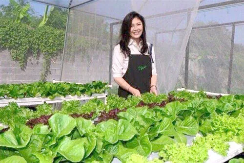 Sau khi rời chính trường, bà Yingluck Shinawatra lui về "ở ẩn" và vui thú điền viên - Ảnh do bà đăng lên trang Facebook cá nhân Sau khi rời chính trường, bà Yingluck Shinawatra lui về "ở ẩn" và vui thú điền viên - Ảnh do bà đăng lên trang Facebook cá nhân