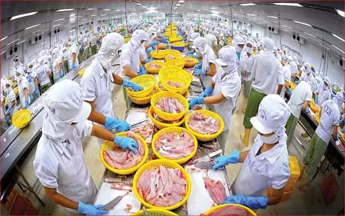 DN thủy sản sẽ thêm khó khăn khi không được vay vốn bằng ngoại tệ. DN thủy sản sẽ thêm khó khăn khi không được vay vốn bằng ngoại tệ.