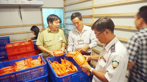 Do thông tin thiếu khách quan, xúc xích của Vietfoods đang “chết dở” trên thị trường. Do thông tin thiếu khách quan, xúc xích của Vietfoods đang “chết dở” trên thị trường.