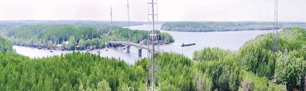 Rừng Đước huyện Cần Giờ nhìn từ trên cao. Ảnh: L.THANH