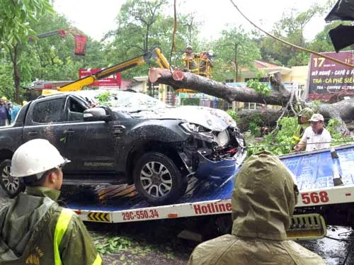 Dự báo bão nhỏ sao thực tế gây nhiều thiệt hại? ảnh 1