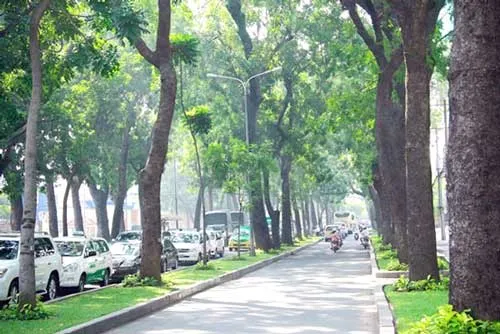 Đường Tôn Đức Thắng hiện tại. Đường Tôn Đức Thắng hiện tại.