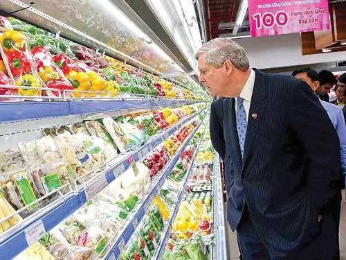 Thị trường nông sản, thực phẩm Việt Nam còn nhiều tiềm năng. Thị trường nông sản, thực phẩm Việt Nam còn nhiều tiềm năng.