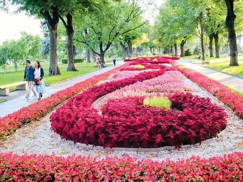 Nơi lưu dấu huyền thoại ảnh 5