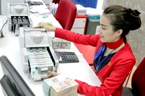 Ảnh minh họa: L.THANH Ảnh minh họa: L.THANH