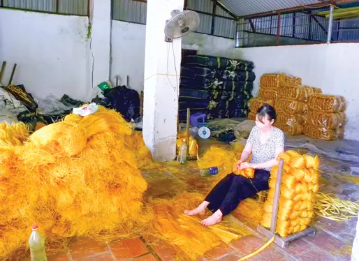 Miến được đem phơi ngay bên bãi nước thải, rác thải hôi thối. Những giàn miến lao cả xuống bãi nước thải. Người làm nghề bắt đầu dùng tay, chân để xé miến, rồi bó thành từng bó. Cứ chỗ nào có nắng chiếu là miến được đem ra phơi. Đất cát bẩn rơi vãi tứ tung và bám đầy trên những gian miến đang phơi . Miến được phơi ở bụi cây, bờ mương, góc vườn. Miến được đem phơi ngay bên bãi nước thải, rác thải hôi thối. Những giàn miến lao cả xuống bãi nước thải. Người làm nghề bắt đầu dùng tay, chân để xé miến, rồi bó thành từng bó. Cứ chỗ nào có nắng chiếu là miến được đem ra phơi. Đất cát bẩn rơi vãi tứ tung và bám đầy trên những gian miến đang phơi . Miến được phơi ở bụi cây, bờ mương, góc vườn.