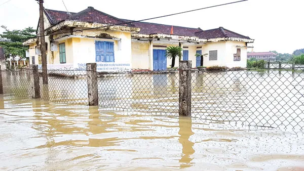 Hàng ngàn ngôi nhà ở tỉnh Bình Định bị "ngâm" trong 4 đợt lũ liên tiếp từ đầu tháng 11 đến giữa tháng 12-2016. Người dân ở “thủ phủ mai” Nhơn An (thị xã An Nhơn, tỉnh Bình Định) cố cứu mai thoát khỏi lũ. Tuy nhiên, phần lớn diện tích trồng mai ở địa phương này đã bị lũ gây thiệt hại. Ảnh: TRỌNG LỢI Ngâm lâu trong nước lũ, một số ngôi nhà ở huyện Tuy Phước (tỉnh Bình Định) đã đổ sập. Nhiều đường giao thông ở Bình Định bị chìm trong lũ, người dân phải “tăng bo” bằng cách đưa xe máy, vật dụng và người lên xe tải Chiến Thắng để qua các đoạn bị ngập. Lũ về lớn làm nước biển vùng nuôi tôm hùm Sông Cầu (tỉnh Phú Yên) bị ngọt hóa làm tôm chết hàng loạt, gây thiệt hại hàng chục tỷ đồng cho người nuôi. Để về nhà, nhiều người đã đánh liều đi qua những bờ tràn nước lũ chảy xiết. Hàng ngàn ngôi nhà ở tỉnh Bình Định bị “ngâm” trong bốn đợt lũ liên tiếp trong vòng một tháng rưỡi, từ đầu tháng 11 đến giữa tháng 12-2016. Lực lượng dân quân và người dân cứu một thanh niên bị trôi xe ở huyện Tuy Phước (tỉnh Bình Định). Hàng ngàn ngôi nhà ở tỉnh Bình Định bị "ngâm" trong 4 đợt lũ liên tiếp từ đầu tháng 11 đến giữa tháng 12-2016. Người dân ở “thủ phủ mai” Nhơn An (thị xã An Nhơn, tỉnh Bình Định) cố cứu mai thoát khỏi lũ. Tuy nhiên, phần lớn diện tích trồng mai ở địa phương này đã bị lũ gây thiệt hại. Ảnh: TRỌNG LỢI Ngâm lâu trong nước lũ, một số ngôi nhà ở huyện Tuy Phước (tỉnh Bình Định) đã đổ sập. Nhiều đường giao thông ở Bình Định bị chìm trong lũ, người dân phải “tăng bo” bằng cách đưa xe máy, vật dụng và người lên xe tải Chiến Thắng để qua các đoạn bị ngập. Lũ về lớn làm nước biển vùng nuôi tôm hùm Sông Cầu (tỉnh Phú Yên) bị ngọt hóa làm tôm chết hàng loạt, gây thiệt hại hàng chục tỷ đồng cho người nuôi. Để về nhà, nhiều người đã đánh liều đi qua những bờ tràn nước lũ chảy xiết. Hàng ngàn ngôi nhà ở tỉnh Bình Định bị “ngâm” trong bốn đợt lũ liên tiếp trong vòng một tháng rưỡi, từ đầu tháng 11 đến giữa tháng 12-2016. Lực lượng dân quân và người dân cứu một thanh niên bị trôi xe ở huyện Tuy Phước (tỉnh Bình Định).