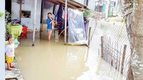 Hàng ngàn ngôi nhà ở tỉnh Bình Định bị "ngâm" trong 4 đợt lũ liên tiếp từ đầu tháng 11 đến giữa tháng 12-2016. Người dân ở “thủ phủ mai” Nhơn An (thị xã An Nhơn, tỉnh Bình Định) cố cứu mai thoát khỏi lũ. Tuy nhiên, phần lớn diện tích trồng mai ở địa phương này đã bị lũ gây thiệt hại. Ảnh: TRỌNG LỢI Ngâm lâu trong nước lũ, một số ngôi nhà ở huyện Tuy Phước (tỉnh Bình Định) đã đổ sập. Nhiều đường giao thông ở Bình Định bị chìm trong lũ, người dân phải “tăng bo” bằng cách đưa xe máy, vật dụng và người lên xe tải Chiến Thắng để qua các đoạn bị ngập. Lũ về lớn làm nước biển vùng nuôi tôm hùm Sông Cầu (tỉnh Phú Yên) bị ngọt hóa làm tôm chết hàng loạt, gây thiệt hại hàng chục tỷ đồng cho người nuôi. Để về nhà, nhiều người đã đánh liều đi qua những bờ tràn nước lũ chảy xiết. Hàng ngàn ngôi nhà ở tỉnh Bình Định bị “ngâm” trong bốn đợt lũ liên tiếp trong vòng một tháng rưỡi, từ đầu tháng 11 đến giữa tháng 12-2016. Lực lượng dân quân và người dân cứu một thanh niên bị trôi xe ở huyện Tuy Phước (tỉnh Bình Định). Hàng ngàn ngôi nhà ở tỉnh Bình Định bị "ngâm" trong 4 đợt lũ liên tiếp từ đầu tháng 11 đến giữa tháng 12-2016. Người dân ở “thủ phủ mai” Nhơn An (thị xã An Nhơn, tỉnh Bình Định) cố cứu mai thoát khỏi lũ. Tuy nhiên, phần lớn diện tích trồng mai ở địa phương này đã bị lũ gây thiệt hại. Ảnh: TRỌNG LỢI Ngâm lâu trong nước lũ, một số ngôi nhà ở huyện Tuy Phước (tỉnh Bình Định) đã đổ sập. Nhiều đường giao thông ở Bình Định bị chìm trong lũ, người dân phải “tăng bo” bằng cách đưa xe máy, vật dụng và người lên xe tải Chiến Thắng để qua các đoạn bị ngập. Lũ về lớn làm nước biển vùng nuôi tôm hùm Sông Cầu (tỉnh Phú Yên) bị ngọt hóa làm tôm chết hàng loạt, gây thiệt hại hàng chục tỷ đồng cho người nuôi. Để về nhà, nhiều người đã đánh liều đi qua những bờ tràn nước lũ chảy xiết. Hàng ngàn ngôi nhà ở tỉnh Bình Định bị “ngâm” trong bốn đợt lũ liên tiếp trong vòng một tháng rưỡi, từ đầu tháng 11 đến giữa tháng 12-2016. Lực lượng dân quân và người dân cứu một thanh niên bị trôi xe ở huyện Tuy Phước (tỉnh Bình Định).
