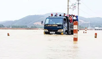 Hàng ngàn ngôi nhà ở tỉnh Bình Định bị "ngâm" trong 4 đợt lũ liên tiếp từ đầu tháng 11 đến giữa tháng 12-2016. Người dân ở “thủ phủ mai” Nhơn An (thị xã An Nhơn, tỉnh Bình Định) cố cứu mai thoát khỏi lũ. Tuy nhiên, phần lớn diện tích trồng mai ở địa phương này đã bị lũ gây thiệt hại. Ảnh: TRỌNG LỢI Ngâm lâu trong nước lũ, một số ngôi nhà ở huyện Tuy Phước (tỉnh Bình Định) đã đổ sập. Nhiều đường giao thông ở Bình Định bị chìm trong lũ, người dân phải “tăng bo” bằng cách đưa xe máy, vật dụng và người lên xe tải Chiến Thắng để qua các đoạn bị ngập. Lũ về lớn làm nước biển vùng nuôi tôm hùm Sông Cầu (tỉnh Phú Yên) bị ngọt hóa làm tôm chết hàng loạt, gây thiệt hại hàng chục tỷ đồng cho người nuôi. Để về nhà, nhiều người đã đánh liều đi qua những bờ tràn nước lũ chảy xiết. Hàng ngàn ngôi nhà ở tỉnh Bình Định bị “ngâm” trong bốn đợt lũ liên tiếp trong vòng một tháng rưỡi, từ đầu tháng 11 đến giữa tháng 12-2016. Lực lượng dân quân và người dân cứu một thanh niên bị trôi xe ở huyện Tuy Phước (tỉnh Bình Định). Hàng ngàn ngôi nhà ở tỉnh Bình Định bị "ngâm" trong 4 đợt lũ liên tiếp từ đầu tháng 11 đến giữa tháng 12-2016. Người dân ở “thủ phủ mai” Nhơn An (thị xã An Nhơn, tỉnh Bình Định) cố cứu mai thoát khỏi lũ. Tuy nhiên, phần lớn diện tích trồng mai ở địa phương này đã bị lũ gây thiệt hại. Ảnh: TRỌNG LỢI Ngâm lâu trong nước lũ, một số ngôi nhà ở huyện Tuy Phước (tỉnh Bình Định) đã đổ sập. Nhiều đường giao thông ở Bình Định bị chìm trong lũ, người dân phải “tăng bo” bằng cách đưa xe máy, vật dụng và người lên xe tải Chiến Thắng để qua các đoạn bị ngập. Lũ về lớn làm nước biển vùng nuôi tôm hùm Sông Cầu (tỉnh Phú Yên) bị ngọt hóa làm tôm chết hàng loạt, gây thiệt hại hàng chục tỷ đồng cho người nuôi. Để về nhà, nhiều người đã đánh liều đi qua những bờ tràn nước lũ chảy xiết. Hàng ngàn ngôi nhà ở tỉnh Bình Định bị “ngâm” trong bốn đợt lũ liên tiếp trong vòng một tháng rưỡi, từ đầu tháng 11 đến giữa tháng 12-2016. Lực lượng dân quân và người dân cứu một thanh niên bị trôi xe ở huyện Tuy Phước (tỉnh Bình Định).