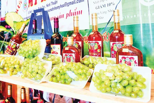 Xứ sở nho Ninh Thuận ảnh 3 Xứ sở nho Ninh Thuận ảnh 3