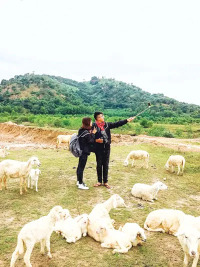 Một cặp đôi đang ghi lại khoảnh khắc.