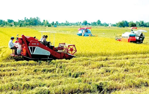 ĐBSCL đứng trước bước ngoặc trong việc chuyển đổi nền sản xuất nông nghiệp từ sản lượng sang chất lượng và giá trị. ĐBSCL đứng trước bước ngoặc trong việc chuyển đổi nền sản xuất nông nghiệp từ sản lượng sang chất lượng và giá trị.