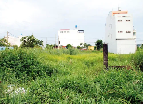 Quang cảnh dự án khu nhà ở Tân Thới Hiệp đến nay vẫn còn đình trệ do tranh chấp.