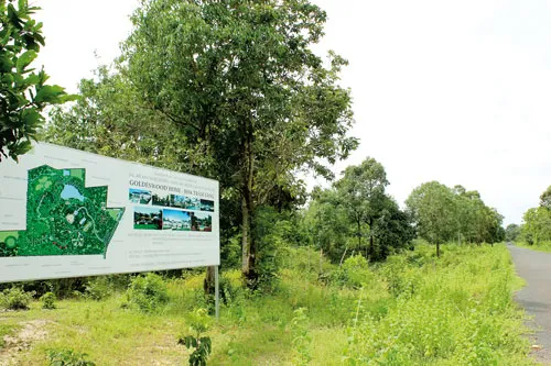 Dự án chăm sóc người già có quy mô 41ha hiện vẫn là khu rừng âm u. Ảnh: THANH VY Dự án chăm sóc người già có quy mô 41ha hiện vẫn là khu rừng âm u. Ảnh: THANH VY