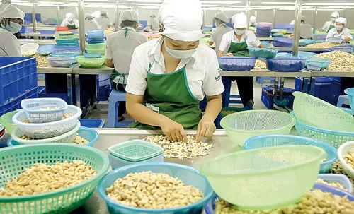 Nhiều DN rơi vào cảnh thiếu hụt lao động trầm trọng do "lỡ" cắt giảm nhân sự mạnh tay.