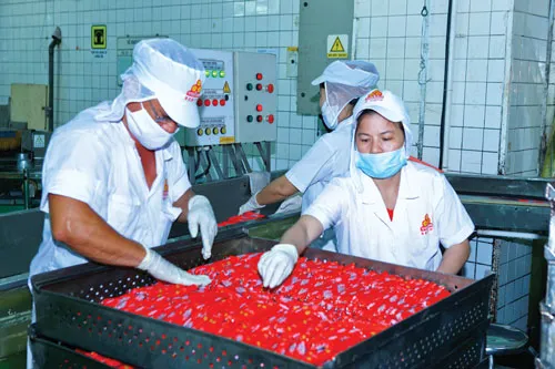 Hầu hết DN đều cảm thấy rất mơ hồ khi tiếp cận với các chính sách. Ảnh: LONG THANH