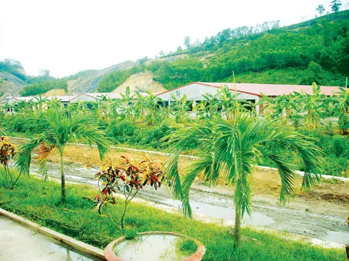 Một góc trang trại chăn nuôi heo của Công ty Thiên Thuận Tường. Một góc trang trại chăn nuôi heo của Công ty Thiên Thuận Tường.