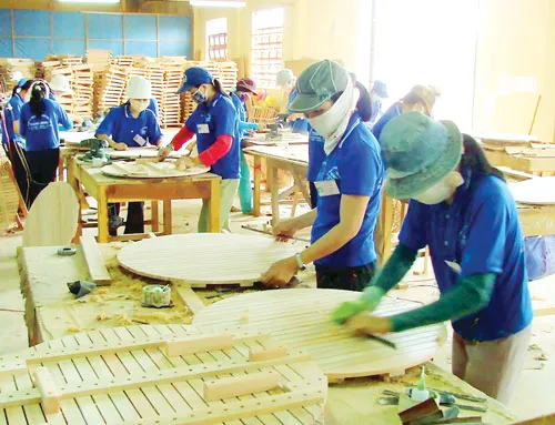 Chế biến sản phẩm gỗ xuất khẩu tại CTCP Gỗ Thành Danh (Bình Định). Chế biến sản phẩm gỗ xuất khẩu tại CTCP Gỗ Thành Danh (Bình Định).